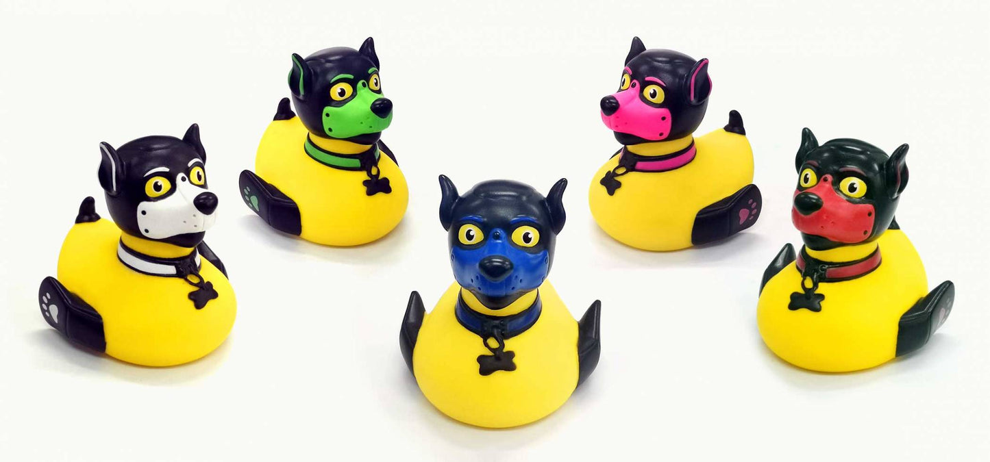 Puppy Duck
